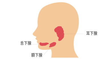 唾液腺の疾患